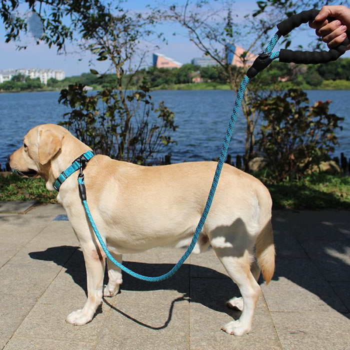Durable Dog Leash